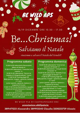 Salviamo il natale